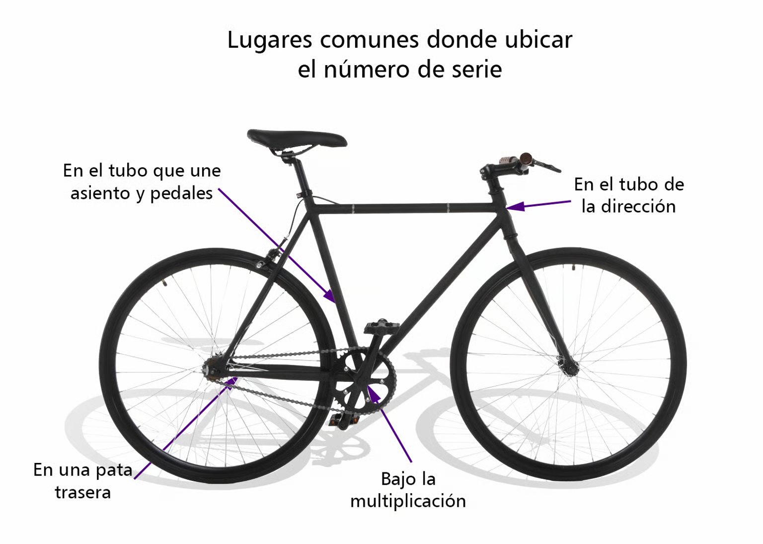 Lugares comunes donde ubicar el número de serie en la bicicleta